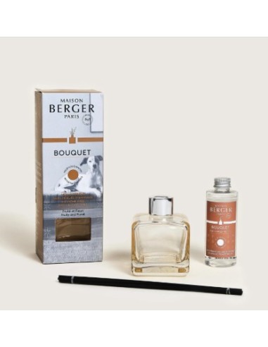 Bouquet Glacon A O Animaux 1L Ambientador para Hogares con Mascotas