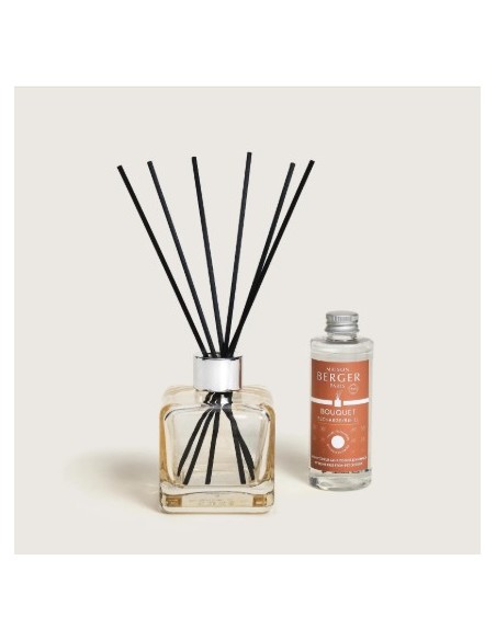 Bouquet Glacon A O Animaux 1L Ambientador para Hogares con Mascotas