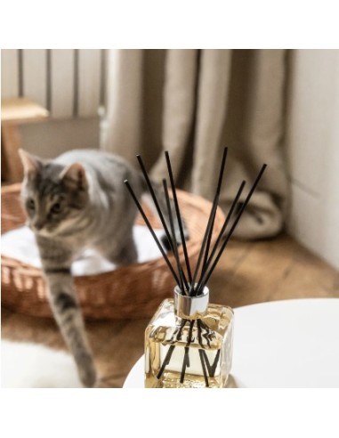 Bouquet Glacon A O Animaux 1L Ambientador para Hogares con Mascotas