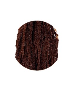 Planta AMA/4924 ornamental de fácil mantenimiento para jardín terraza e interiores