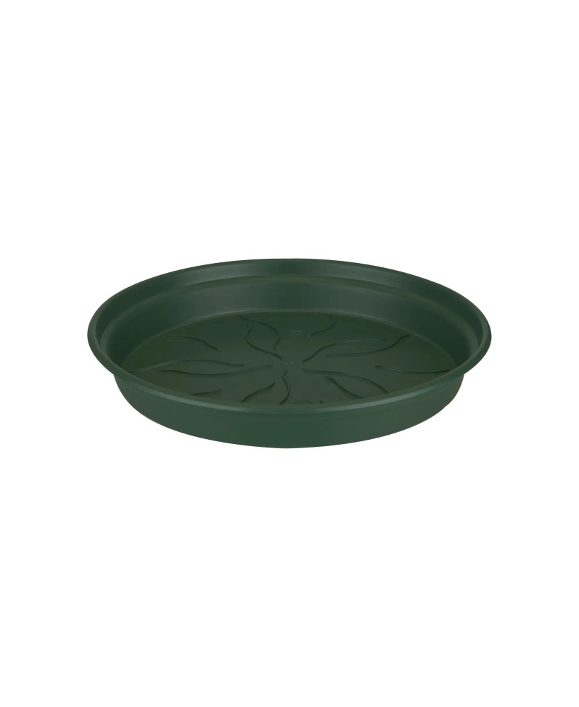 Plato GB 34CM Verde para Macetas Grandes Decorativo y Resistente