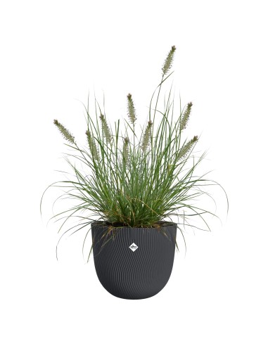 Maceta redonda antracita | Diseño moderno y resistente para interior y exterior