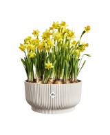 Maceta bol 25 cm blanco lino | Elegancia y estilo moderno para plantas