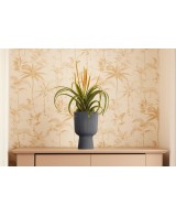 Maceta moderna 14 cm color antracita | Interior y exterior | Endanea Garden