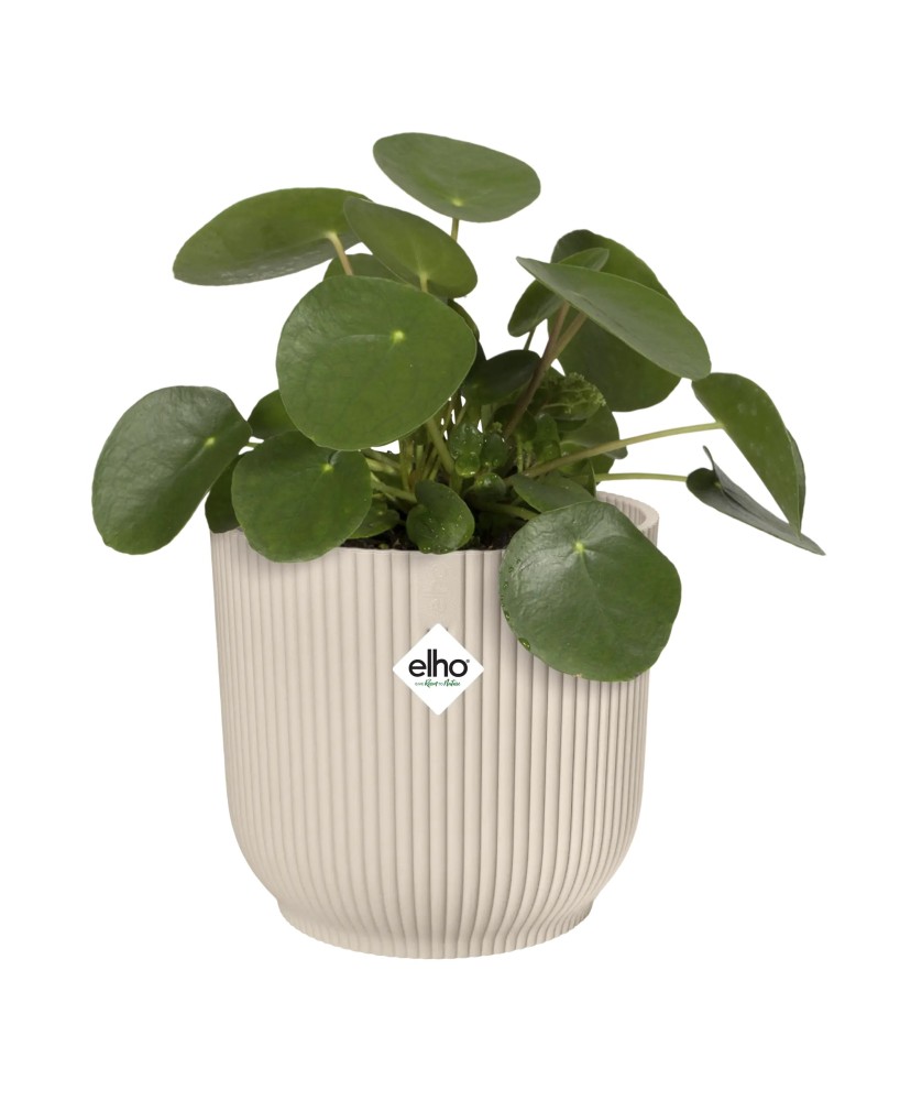 Maceta redonda 16 cm blanco lino | Interior y exterior | Endanea Garden