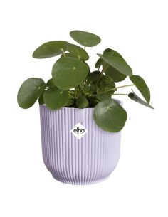 Maceta Vibes Fold Redonda 18 cm Lila Diseño Moderno y Decorativo 2