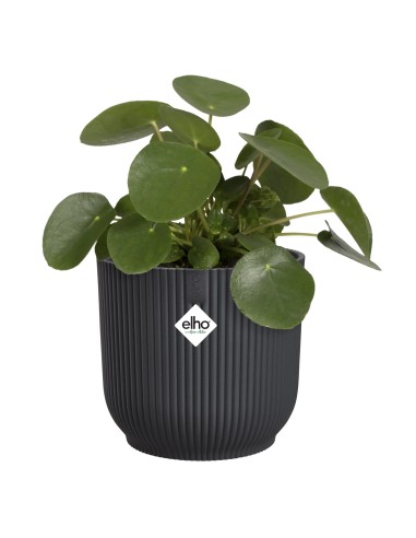 Maceta Vibes Fold Redonda 22 cm Antracita Diseño Moderno y Elegante