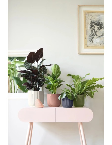 Maceta Vibes Fold Redonda 22 cm Blanco Lino Diseño Moderno y Minimalista