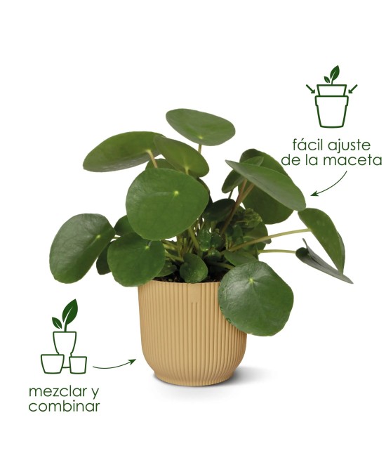 Maceta Vibes Fold Redonda 22 cm Blanco Lino Diseño Moderno y Minimalista