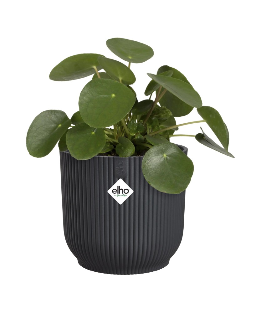 Maceta Vibes Fold Redonda 25cm Antracita Comprar Endanea Garden