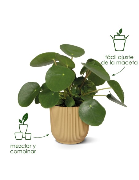 Maceta Vibes Fold Redonda 30cm Antracita Comprar Endanea Garden