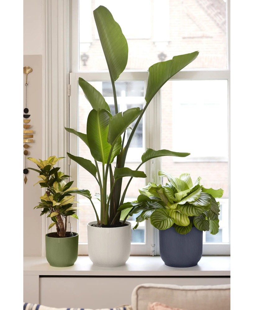 Maceta Vibes Fold Redonda 30cm Blanco Lino Comprar Endanea Garden