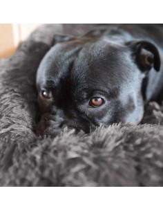 Cuna Fur Redonda Gris 70x70x20 cm para Mascotas Confort y Estilo 2