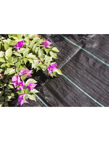Malla Antihierbas 3x100M 130GR Negra Endanea Garden para Jardín y Huerto