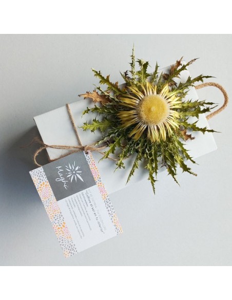 EGUZKILORE MAGHU PEQUEÑO