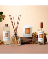 Perfume de Interior 100ml Flor de Sándalo - Aromas Elegantes para Hogar y Oficina