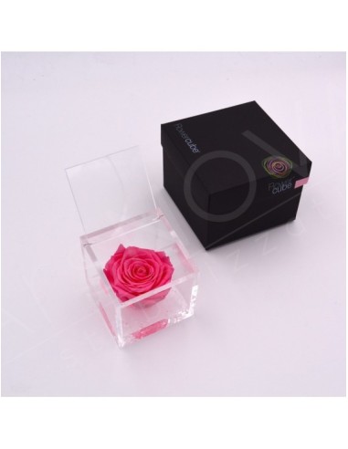 Flowercube Rosa 8x8 Packaging Rosa Rosa Preservada Regalo Elegante y Duradero