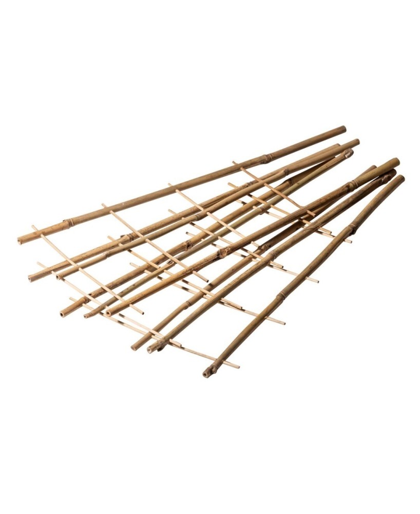 Espaldera Bambú S3 33x12x85 cm 3 Uds Bricomed para Plantas Trepadoras