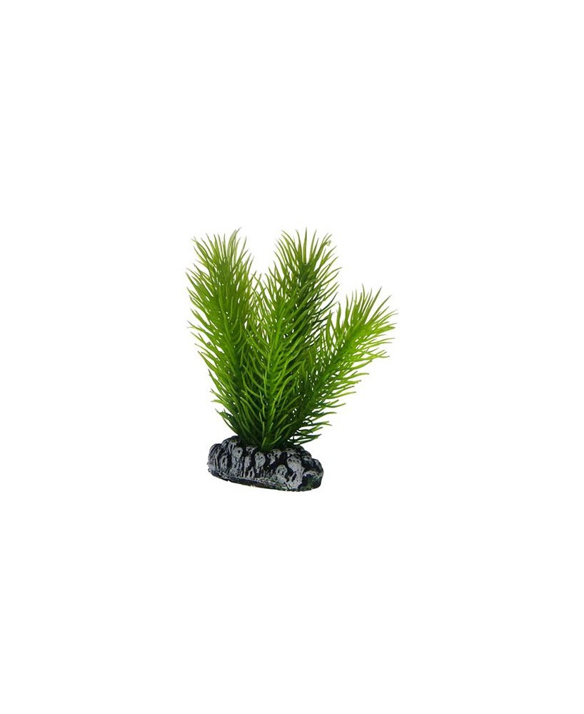 Planta Mayaca 17CM Artificial para Acuario Decoración Realista