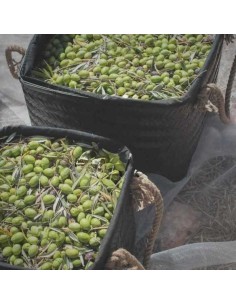 ACETIE OLIVA NOBLEZA DEL SUR V.E. TRADICION 1640 ARBEQUINA 500ML 2