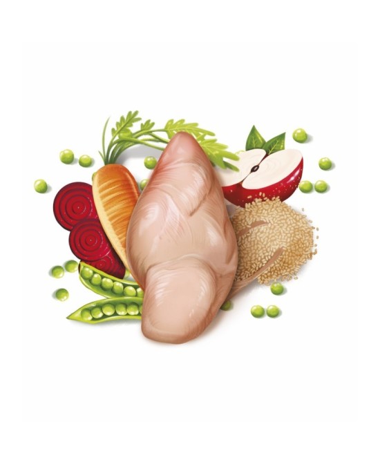 Fresh Mediterranean Blend Adult Complete 12KG Alimento Completo para Perros Adultos