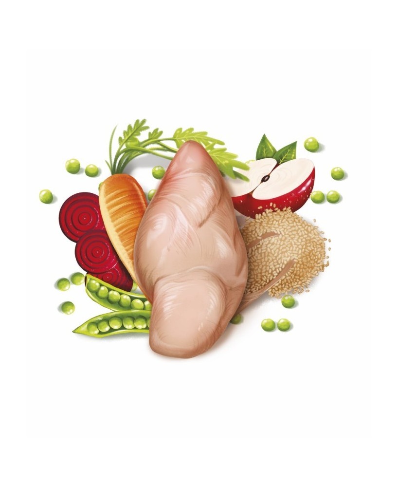 Fresh Mediterranean Blend Adult Complete 12KG Alimento Completo para Perros Adultos