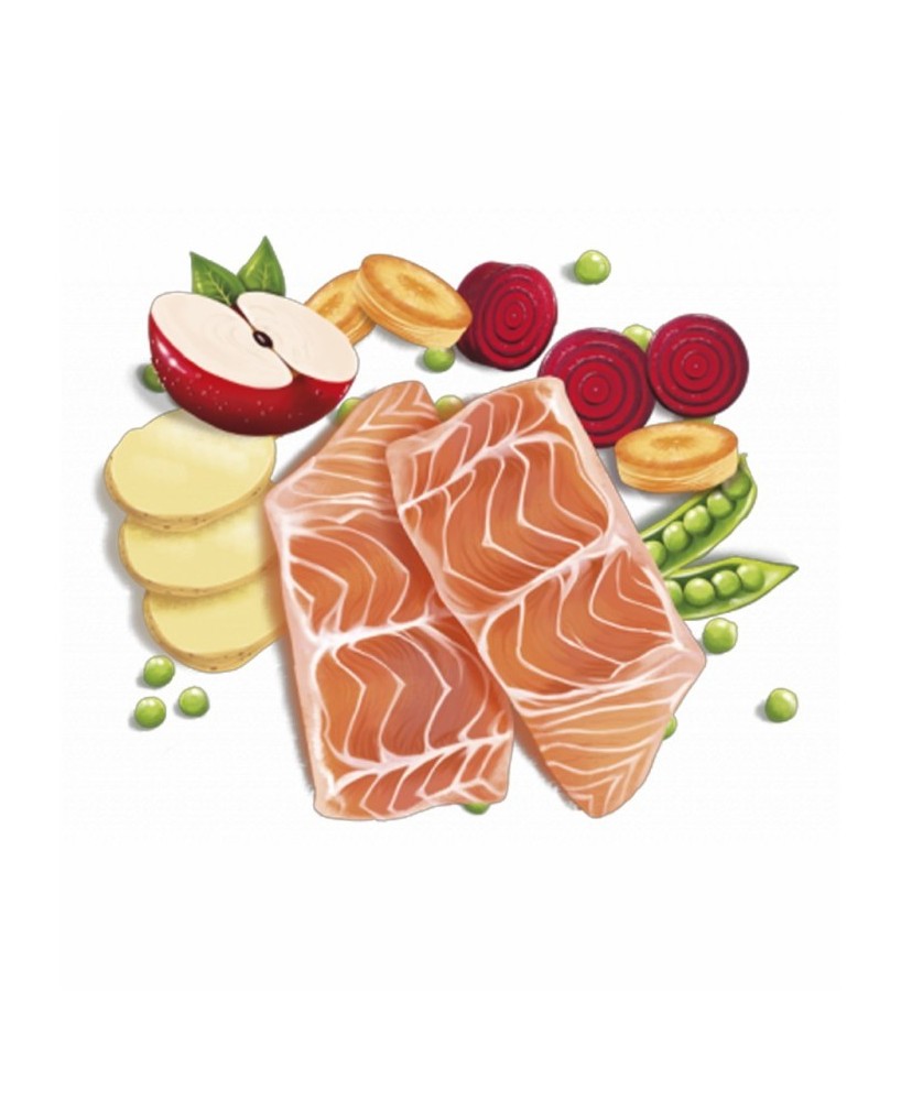 Fresh Mediterranean Blend Adult Sensitive 12KG alimento completo para perros adultos con digestión sensible