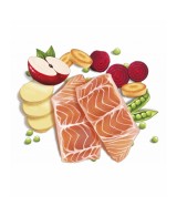 Fresh Mediterranean Blend Adult Sensitive 12KG alimento completo para perros adultos con digestión sensible