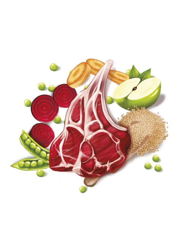 Fresh Mediterranean Blend Adult Lamb 12KG alimento para perros adultos con cordero