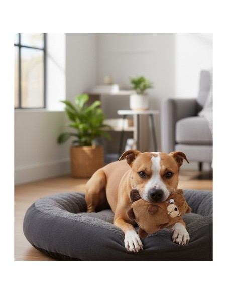 TB Castor Super Acolchado Juguete para Perros Suave y Resistente