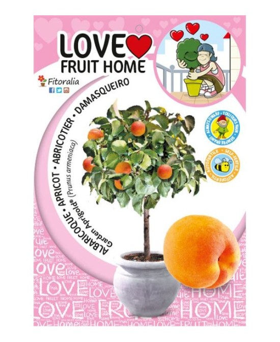 Albaricoque Enano Garden Aprigold 7L Prunus armeniaca para Jardines Pequeños