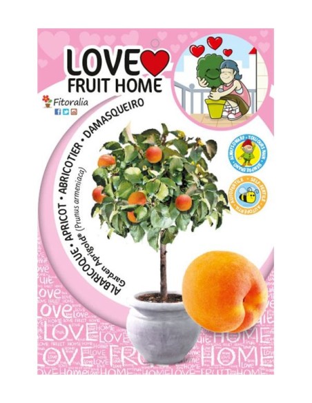 Albaricoque Enano Garden Aprigold 7L Prunus armeniaca para Jardines Pequeños