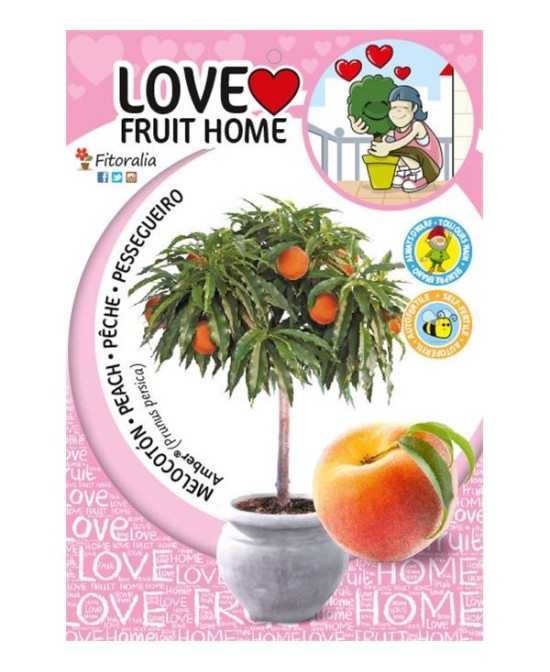 Melocotonero Enano Amber Diamond 7L Prunus persica para Terrazas y Jardines Pequeños