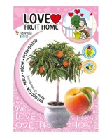 Melocotonero Enano Amber Diamond 7L Prunus persica para Terrazas y Jardines Pequeños