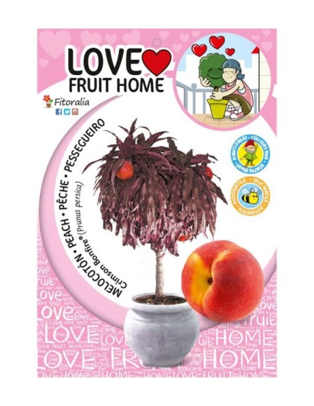 Melocotonero Enano Crimson Bonfire 7L Prunus persica para Terrazas y Jardines Pequeños
