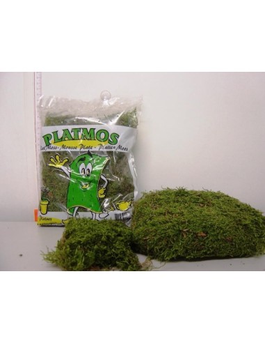 Moss Flat 1kg Verde Musgo Natural Decorativo para Jardinería y Manualidades