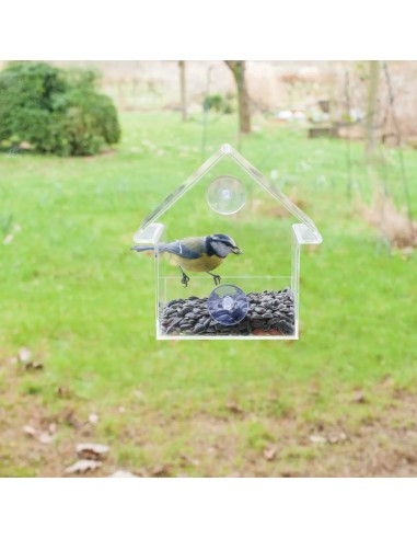 Casa Dispensadora con Ventana para Alimentos Semillas y Granos