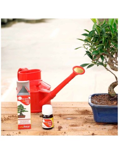 Regadera Bonsái plástico 0,9L roja Mistral para riego preciso