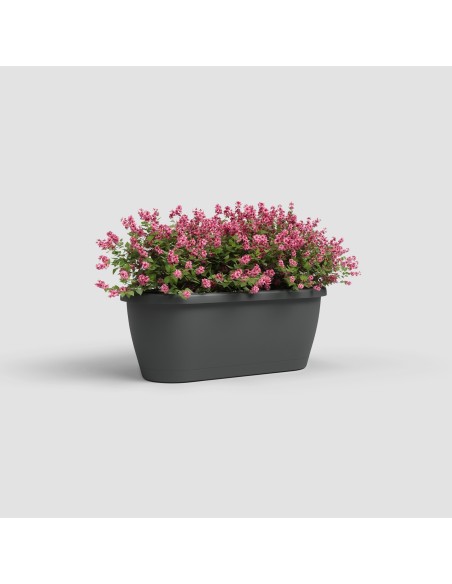 Jardinera Algarve pared 40 cm antracita maceta moderna resistente