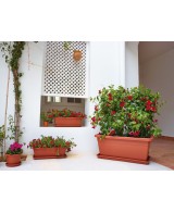 Jardinera Venezia 40 cm Antracita Maceta Decorativa para Exterior e Interior
