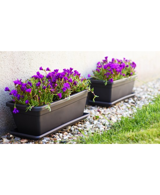 Jardinera Venezia 40 cm Antracita Maceta Decorativa para Exterior e Interior