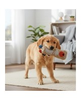 TB Oso con Botella de Plástico  Juguete Interactivo para Perros | Endanea Mascotas