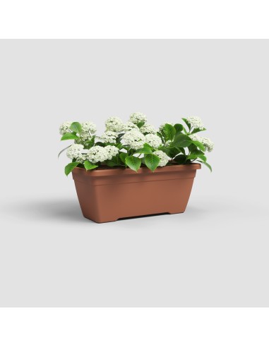 Jardinera Venezia 80 cm Terracota - Maceta Grande para Plantas Medianas y Grandes