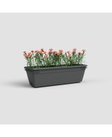 Jardinera Venezia Balcon RA Kit 50 cm Antracita - Maceta Moderna para Balcones y Terrazas
