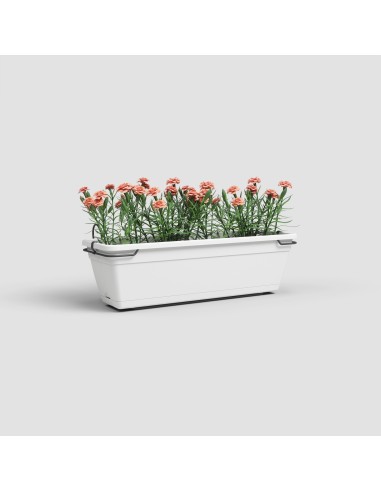 Jardinera Venezia Balcon RA Kit 50 cm Blanco - Maceta Moderna para Balcones y Terrazas