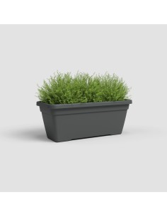 Jardinera Venezia L 60 cm Antracita - Maceta Elegante y Funcional para Balcones y Terrazas 2