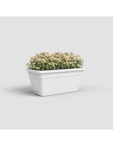 Jardinera Venezia RA 50 cm Blanco | Elegante maceta para balcones y terrazas