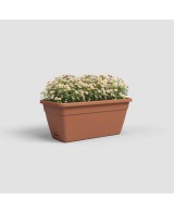 Jardinera Venezia RA 50 cm Terracota - Maceta de Diseño Natural para Balcones y Terrazas