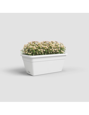 Jardinera Venezia RA 60 cm Blanco  Maceta elegante para balcones, terrazas y jardines