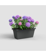 Jardinera Venezia XL 100 cm Antracita | Decoración y Cultivo para Exterior e Interior